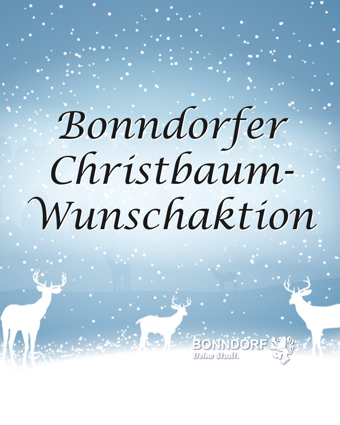 Bonndorfer Christbaum-Wunschaktion