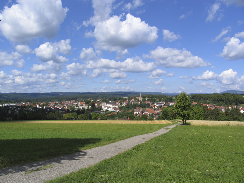 Bild vom Lindenbuch mit Wiese, Feldweg und blauem Himmel in Bonndorf. Thema: Wirtschaftsstandort Bonndorf.